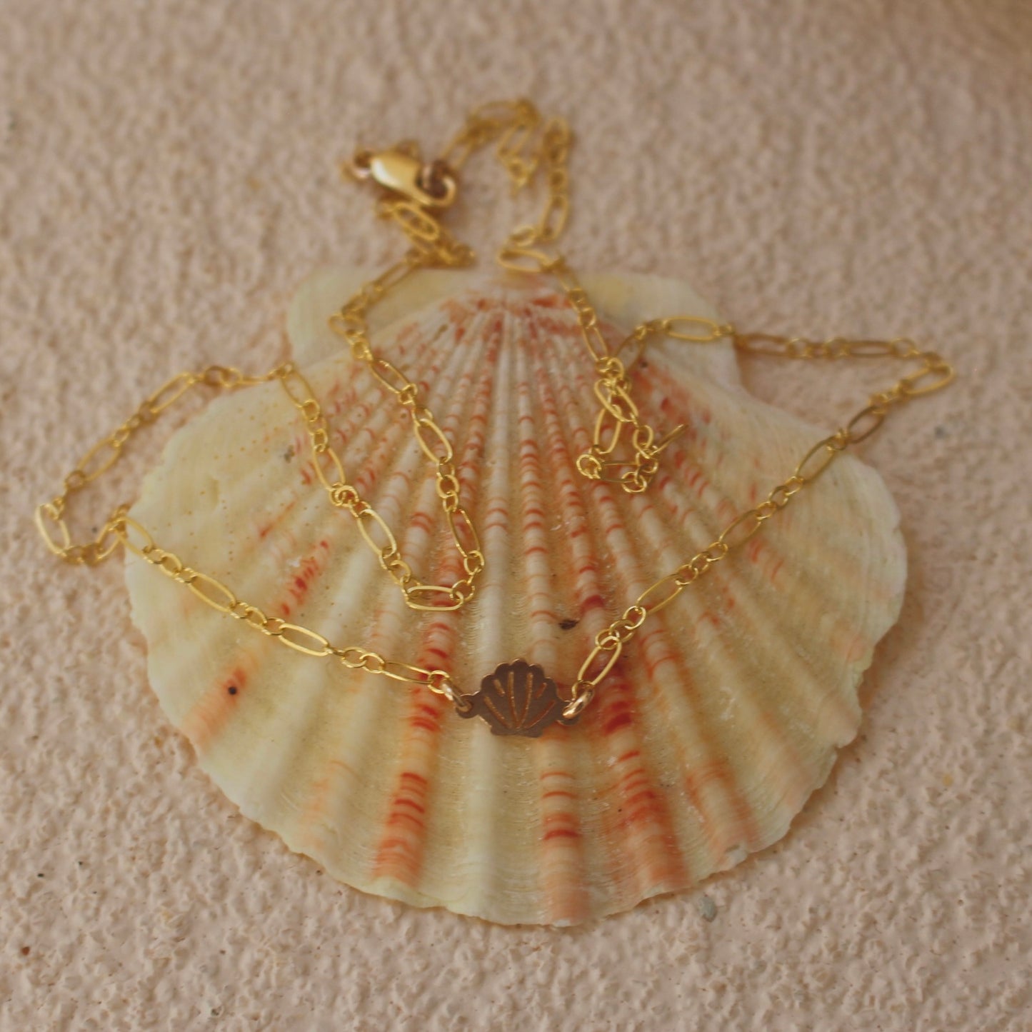 Little Shell Necklace