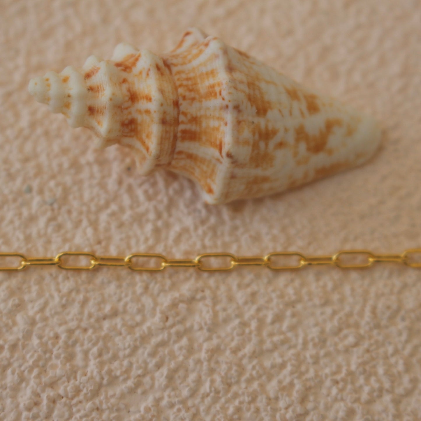 7 Oceans Chain Bracelet