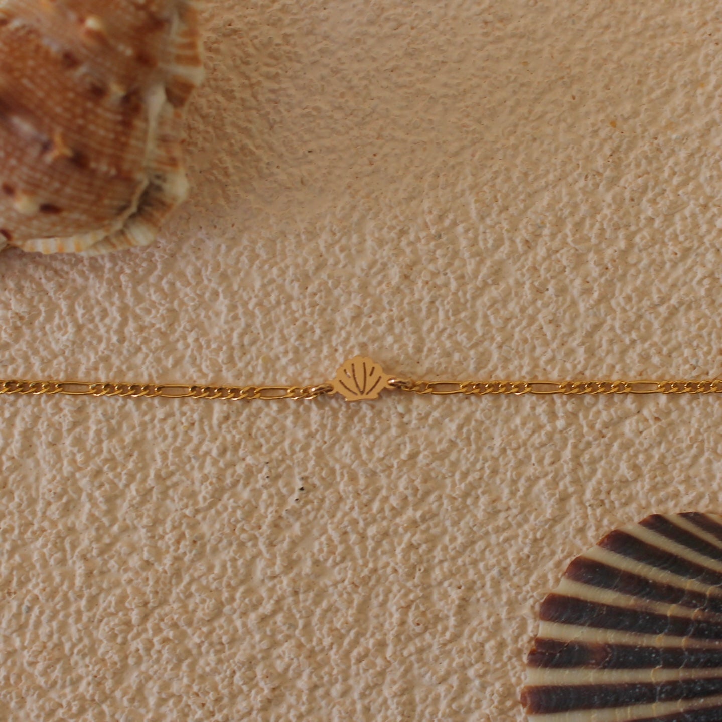 Little Shell Anklet